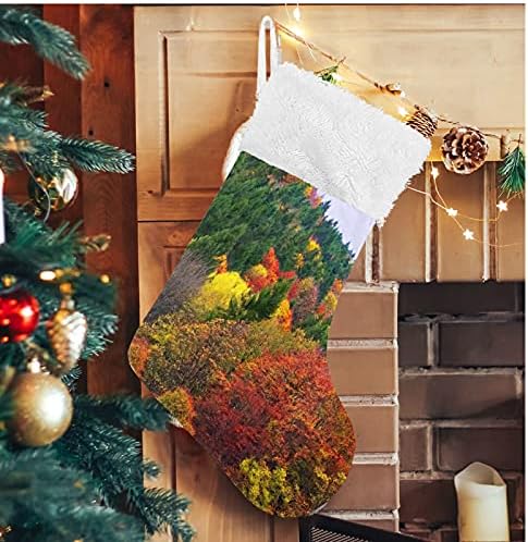 Коледни Чорапи ALAZA, Цветни Есенни Горски Класически Персонализирани Големи Чулочные Украса за Семейни Тържества, декорация