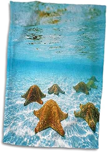 Кърпи за подводни животни 3dRose Florene - Подводни морски звезди - (twl-53306-1)