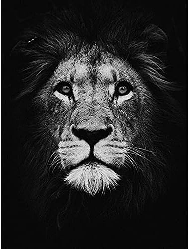 PEISHI 5D САМ Диамантена Снимка на Животното Лъв, Планински Кристал Картина на Диамантена Бродерия Мозайка