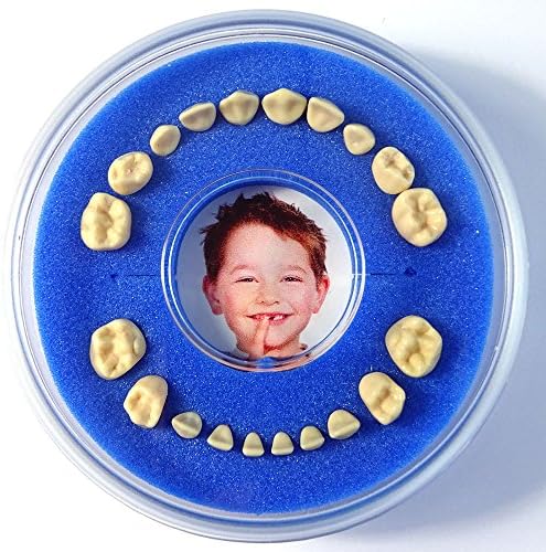 Кутия за детски зъби || Първата кръгла магнитна || (в синьо, за момченце) В комплект магнит за хладилник и безплатен стикер