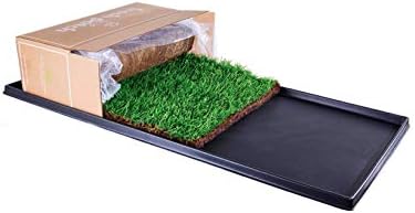 Комплект Fresh Patch XL - Подложка за приучения на обличане и пластиковому тава от естествена трева за съдържанието