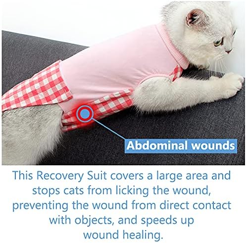 Костюм за възстановяване на котката след операцията, който предпазва От Зализывания рани, Дрехи за Коте, Професионален Костюм