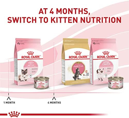 Royal Canin Feline Health Nutrition Mother & Babycat Ултра Мека Пяна в Сос Консервирана Храна за котки, 3 грама, банки, 6