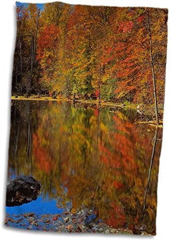 3дРоуз, САЩ, Ню Йорк, на планината Адирондак, Есента езерото, окръг Патнэм - Кърпи (twl-189836-3)