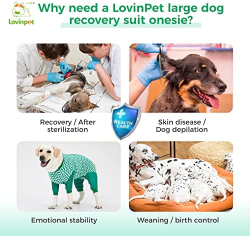 Гащеризон за кучета LovinPet с пълно покритие, Защитен от рани, Хирургически Електронен нашийник, Алтернативна Риза