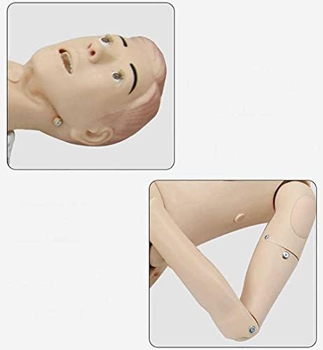 Манекен TAKESH за Грижа за пациентите Демонстрационен Модел на Човешкото Сляпо размер на 5,7 метра в Реален