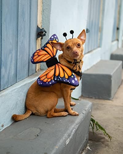 Костюм пеперуда Пет Krewe Костюм с крила на пеперуда, за домашни любимци - щипка за колан, един размер подходящ за всички
