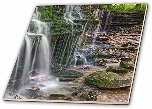 Снимка на водопада 3dRose Scenic City Lake Falls в Куквилле, Тенеси - Tiles (ct_350041_1)