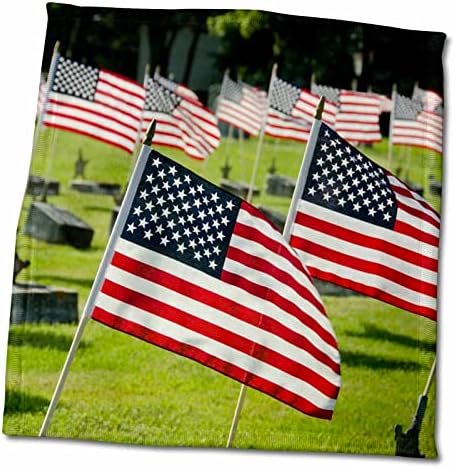 3дРоуз, САЩ, Роуд Айлънд, Бристол. Историческо военно гробище със знамената на САЩ. - Кърпи (twl-190266-3)