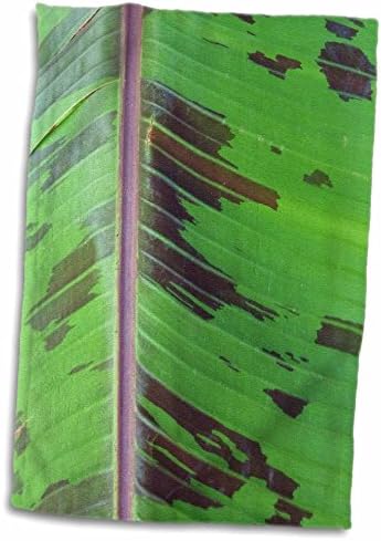 Кърпа 3D Green Rose Black Макро с Банан Лист TWL_35290_1, 15 x 22