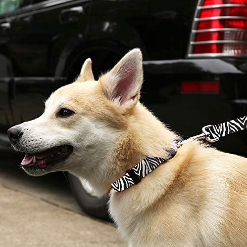 Moose Пет Носете Deluxe Dog Leash - Тежки каишки за домашни любимци с модел, направени в САЩ, в размер на 1 инч х 6 метра, цвят