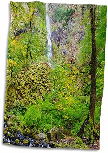 3дРоуз, САЩ, щата Орегон, дефилето на река Колумбия, водопад Гладен рекичка. - Кърпи (twl-190515-3)