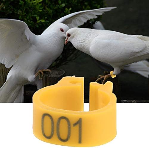 Пръстени за Гълъби, Пластмасови гумени ленти за Краката 100ШТ, Възрастни Птици за Пощенски Гълъб (Жълт)