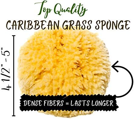 Набор от естествени гъби за баня Sea Sponge 5 инча, Морски гъби - Органични Натурална гъба от люфы, Постоянно Вырезанная