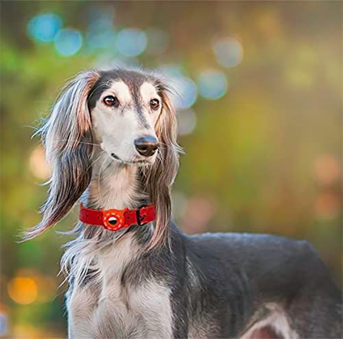 Дишаща сверхпрочный нашийник за кучета с притежателя на AirTag, Модерен яка от мека печатни кожа, с регулируема