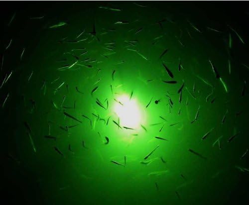Led лампа за подводен риболов от 15 W, 12, Зелена светлина IP68, Водоустойчива Лампа, 360 Градуса, на едно Гише, Скрито Осветление,