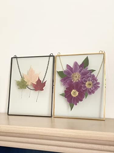 Двойна стъклена рамка Beedecor за пресовани цветя, листа и художествени произведения - Комплект от 2 Висящи рамки за картини,