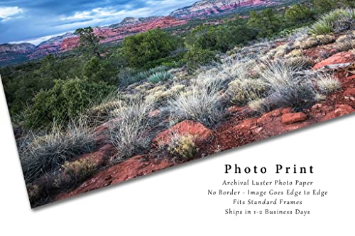 Снимка в западен стил, Принт (без рамка) с участието на Червени скали и Пустинен пейзаж студен пролетта вечер в близост до