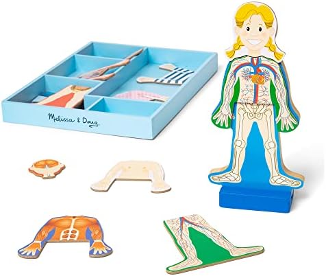 Магнитни игри набор от Melissa & Doug Анатомия на човешкото тяло с 24 Магнитни елементи и чекмедже за съхранение - Модел на