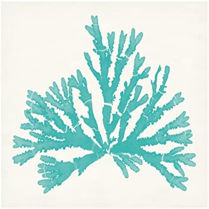 Търговска марка на Fine Art 'Pacific Sea Mosses IV Аква' Платно-арт от Wild Apple Portfolio 24x24