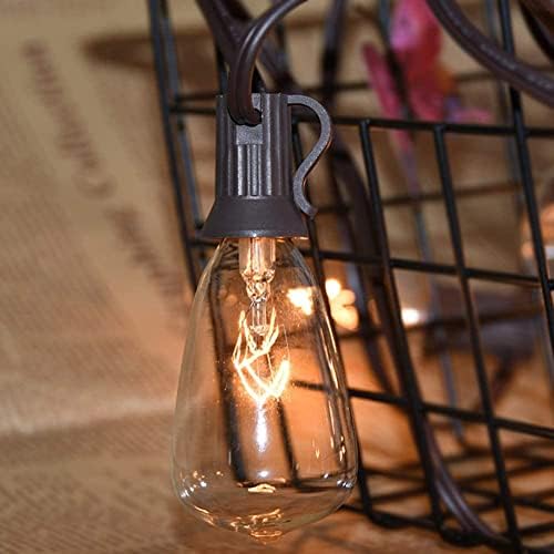 25 Опаковки Крушки Едисон, Смяна на електрически Крушки от Прозрачно Стъкло ST35, електрически Крушки с Винтовым