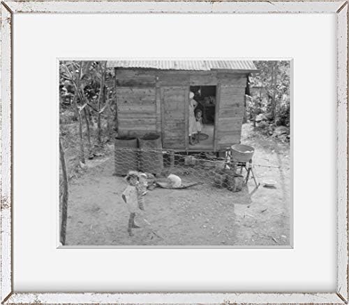 БЕЗКРАЙНИ СНИМКИ Снимка: Байямон, Пуерто-Рико | Деца в задния двор | 1941 | Исторически възпроизвеждане на снимки