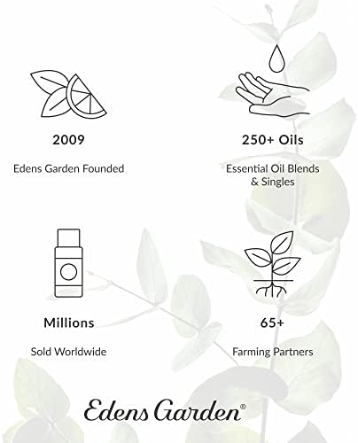 Edens Garden Смес от Етерични масла за лечение на настинки Чисто и Натурално Премиум-клас Най-добрата Рецепта за