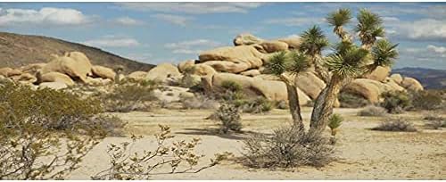Страхотен Фон за Терариум 24x12 инча Планински Камък Joshua Оазис на Пустинята Гоби Местообитание за Влечуги Винил