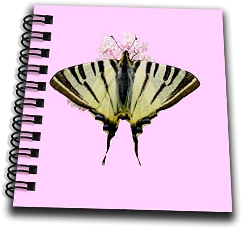 3. Розово махаонов Опашката На Цветя, див чесън, Издълбани В Розова хартия - Албуми за рисуване (db-371404-3)