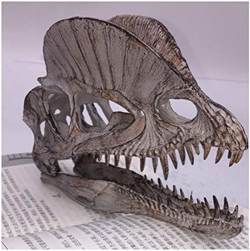 KH66ZKY Дилофозавр Реплика на черепа, модел изкопаеми черепи, модел скелет на динозавър, аквариумный украшение,