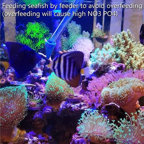 Изборът на аквариум Фидер корали Дълга Спринцовка Риф ясла СЕП ВЕЦ Инструмент за хранене на морски риф на корали