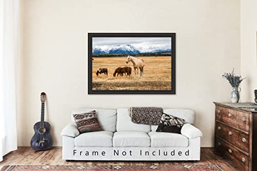 Принт в стил Уестърн (без рамка) с изображение на кон Palomino в есенен ден в националния парк Гранд-Титон, Уайоминг, Стенен декор с участието на животни с площ от 4x6 до 30x4