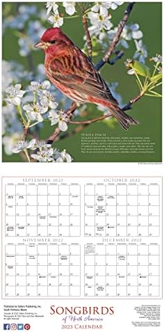 Стенен Календар Пойните птици на Северна Америка 2023, 16-Месечен Календар природа, 12 x 12