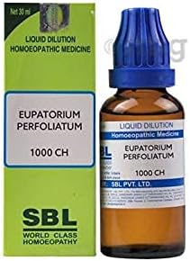 SBL Eupatorium Perfoliatum Отглеждане на 1000 ч