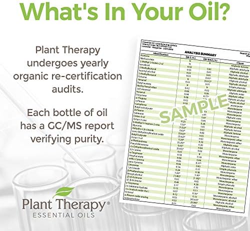Органично етерично масло от черен пипер за растителна терапия, 10 мл (1/3 унции), Чисто, неразбавленное, терапевтичен клас