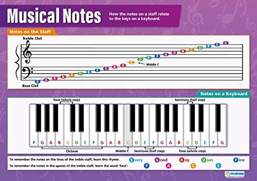 Музикални ноти Блян Education | Музикални плакати | Ламиниран Гланцирана хартия с размер 33 х 23,5 | Музикални класации